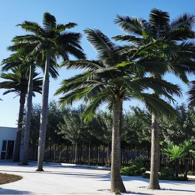 China Factory Wholesale Environmentally Friendly Anti-UV Anti-fading Outdoor Large Artificial Trees Decoration Swimming Pool Palm Tree for sale