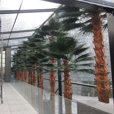 China Environmental Friendly Wholesale Air Dried Plastic Steel Trunk Unique Design Dark Green Leaves Preserved Artificial Palm Trees for sale