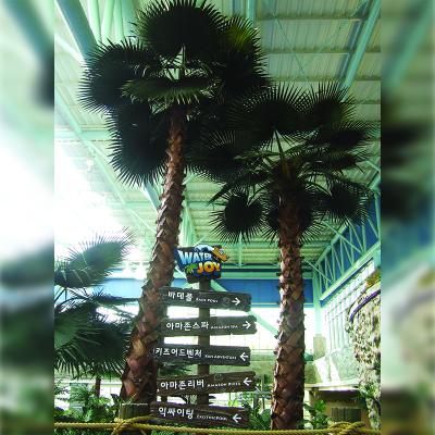 China Environmentally Friendly Air Dried Huge Plastic Steel Trunk Dark Green Unique Design Leaves Hotel Lobby Indoor Decor Preserved Palm Trees for sale