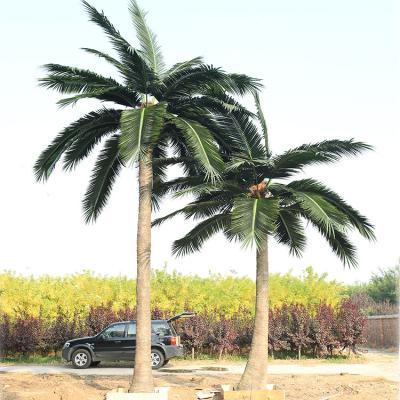 China New fashion environmental friendly anti-fading anti-UV indoor outdoor decoration artificial plastic coconut tree large for sale