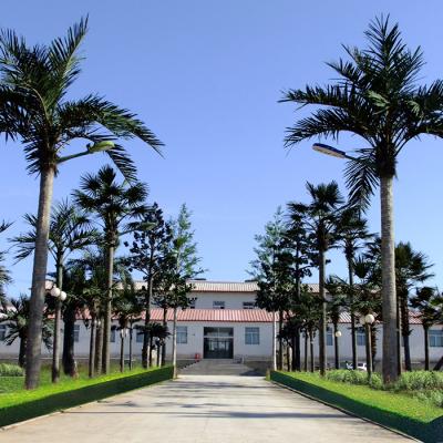 China Environmentally Friendly Square Decorative Artificial Tropical Plants Pool Mall Plastic Giant Artificial Palm Tree for sale