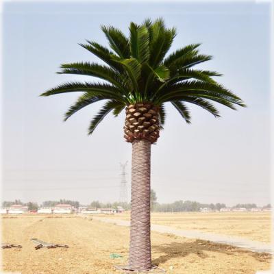 China Artificial Date Palm Fan Palm Tree Fake Leaves Barhi Date Palm Saudi Arabia for sale