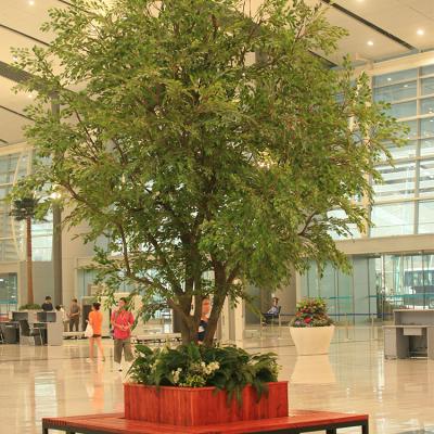 China China manufacture indoor plastic fiberglass ficus tree, artificial banyan tree for airport for sale