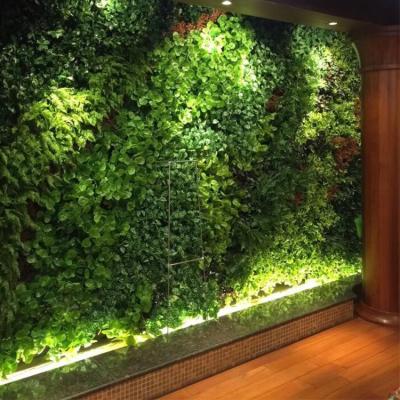 China Manufacturers casual green indoor decoration wall artificial vertical vertical wall for sale for sale