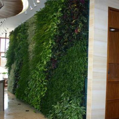 China Plant Plastic Artificial Walls Airplane Water Proof Fake Grass For Indoor Decoration for sale