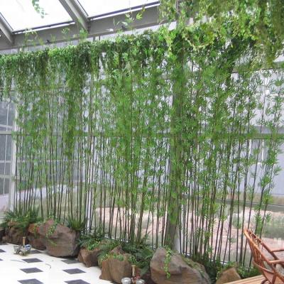 China 2020 environment friendly wholesale new decoration preserved artificial bamboo tree for sale