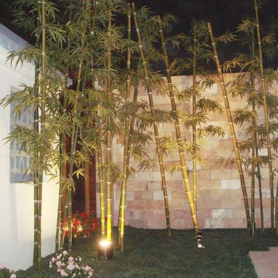 China Plant Plastic Outdoor Artificial Trees Bonsai Bamboo, Decorative Fake Bamboo for sale