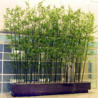 China High quality artificial plastic baboom tree artificial tree Baboom tree for home decor for sale