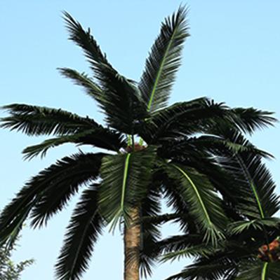 China Environmental Friendly High Temperature Resistance Anti-UV Artificial Plants Grow Leaves Artificial Fake Fan Coconut Palm Leaves for sale