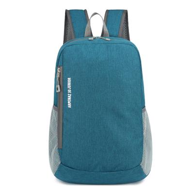 China Leisure Waterproof Promotional Sports Backpack Bags Business Laptop Backpack For College Student for sale