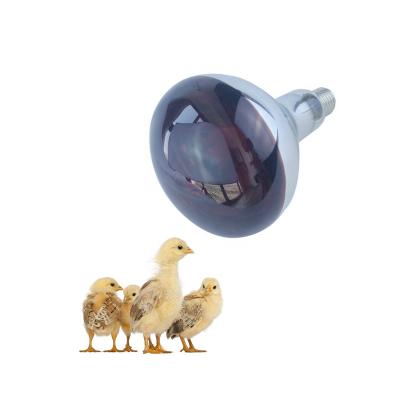 China Animal production: chicks energy saving farm equipment infrared glass bulbs incubator heating lamp chicken heating light for poultry for sale