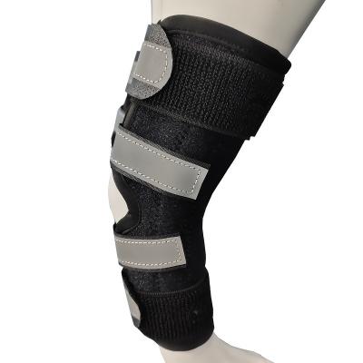 China Canine Wrap Front Leg Compression Brace Wear Resistant Dog Leg Leg Brace with Metal Strips and Safety Reflective Straps for sale