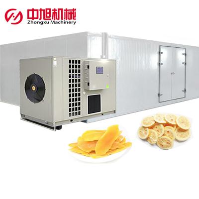 China Vegetable Industrial Commercial Mango Lemon Drying Heat Pump Processing Machine Part for sale