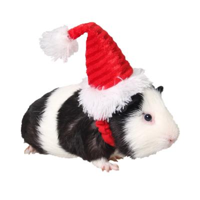 China 2020 Top Selling Hamster Totoro Guinea Pig Hedgehog Rabbit Cat Small Pet Holiday Decoration Plush Christmas Hat For Party for sale