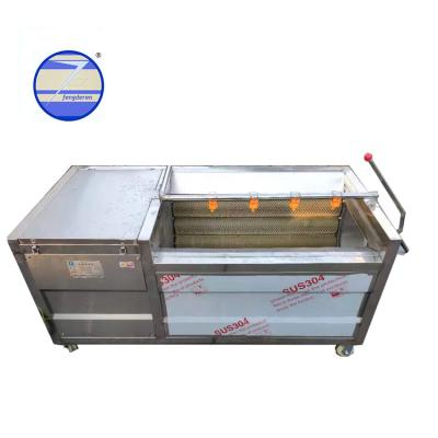 China Vegetable and Fruit Bubble Cleaning Machine for Efficient Cleaning of Carrots Onions and Beets for sale