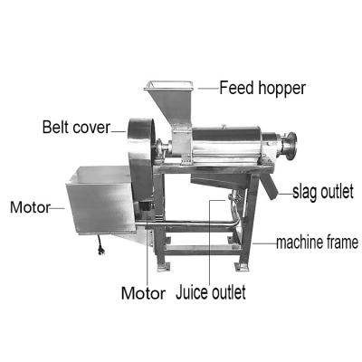 China Vegetable and fruit juicer Carrot juicer for sale