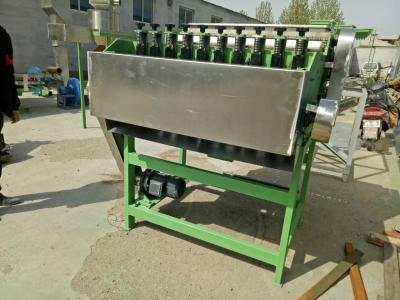 China Cashew Processing Plant / Full Automatic Cashew Nut Processing Machine / Automatic Cashew Nut Sheller for sale