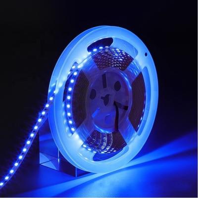 China Custom color dc12v 24v indoor blue smd2835 60leds 5m ip20 cri80 hotel flexible strip led strip for sale