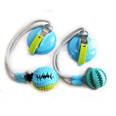 China Toy Dog Chew Ball With Interactive Chewing Ball Suction Strong Suction Cup for sale