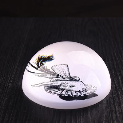 China Europe Creative Animal Eyes Crystal Glass Photo Paperweight Dome Magnifying Glass For Souvenir Gifts for sale