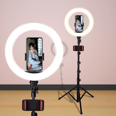 China PC 8 10 Inch 20cm 26cm Ring Light LED Beauty Circle Light For Video Photography for sale