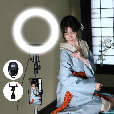 China Dimmable PC 10inch 8inch Selfie LED Ring Light with 1.6m Tripod Tabletop Tripod Remote Control for sale