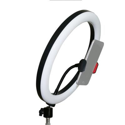 China Aluminum Alloy OEM ODM Aluminum Alloy Selfie LED Ring Light 12