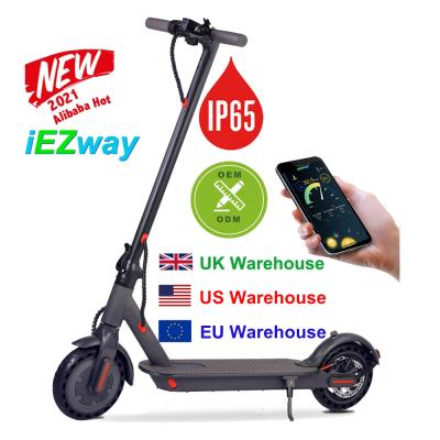 China 2021 unisex electricos iEZway two wheel scooter manufacturers patinetes for sale