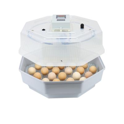 China 60 Egg Incubator ABS PP Large Capacity Professional Popular Hot Selling Intelligent Egg Incubator for sale