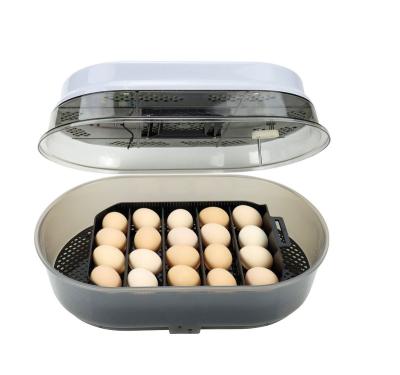 China Professional Hot Selling Design 18 Egg Incubator High Productivity Automatic Egg Incubator for sale