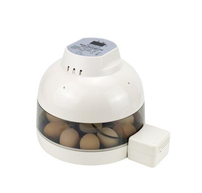 China Professional Popular Hot Selling 10 Plus Multifunctional Egg Incubator Lab Use Egg Incubator for sale