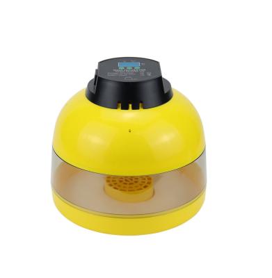 China Best professional wholesale egg incubator export quality lab chick and pigeon incubator for sale