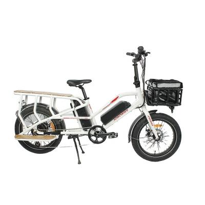 China Standard Electric Type Family City Bike Cargo Horse for sale