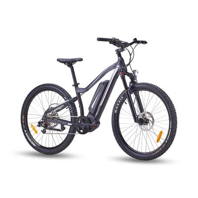 China Hot Selling EU Standard Electric Mountain Bike Ready To Ship for sale