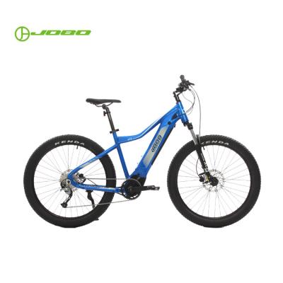 China Aluminum Alloy Bafang LCD Display Men's Electric Bike JB-TDE44L Fat for sale