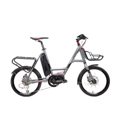 China Hot Selling Aluminum Alloy TDN31L 20 Inch Electric Bike Cargo Bikes for sale