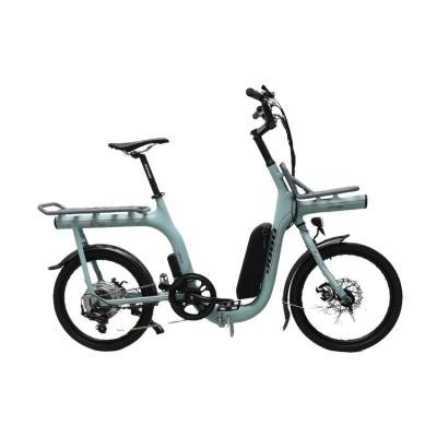 China Hot Selling Aluminum Alloy TDN09Z 20 Inch Brushless Electric Cargo Bikes for sale