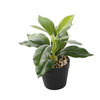 China Modern Minimalist Style Plant Customized Mini Artificial Bonsai Potted Plants For Home Decoration for sale