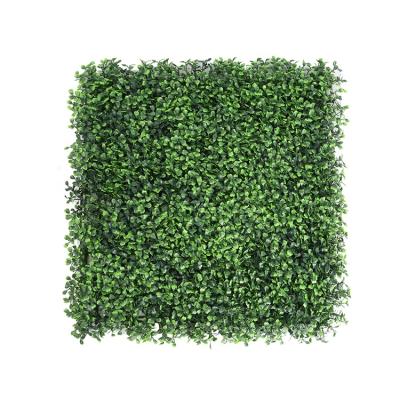 China UV Protected Artificial Boxwood Garden Decoration Modern Artificial Boxwood Panels for sale