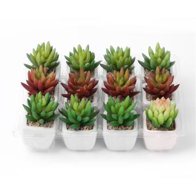 China Modern Artificial Succulent Plant Arrangement Cacti Home Office Korean Succulent Decor for sale