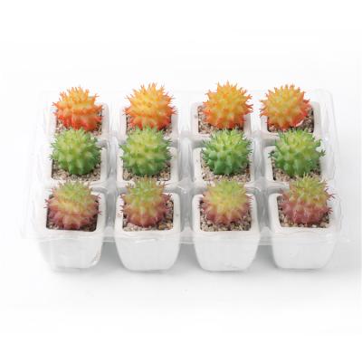 China Modern Artificial Succulent Plants Potted Mini Artificial Succulent Plant For Desktop Decoration for sale