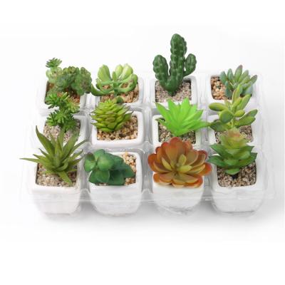 China Modern Marble Cement Potted Suculenta Plant For Decoration Mini Artificial Succulent Plant Bonsai for sale