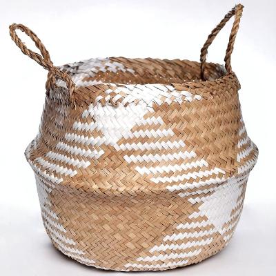 China New Style Modern Newcomer Home Storage Basket Customized Colors Swell Vegetable Plankton Basket Plant Basket Flower for sale