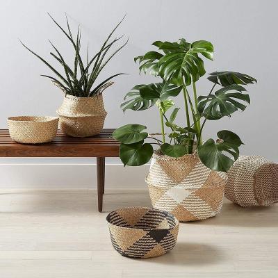 China High Quality Customized Plant Basket Woven Flower Basket Viable Colors Vegetable Plankton Belly Shape With Handles for sale