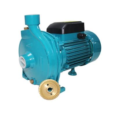 China Popular Irrigation Brass Impeller 1HP Clean Centrifugal Electric Water Pump In Cambodia for sale