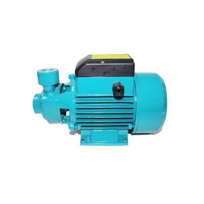 China QB60 Clarified Electric Outdoor Water Pump 100% Copper Wire Clean Water Pump for sale