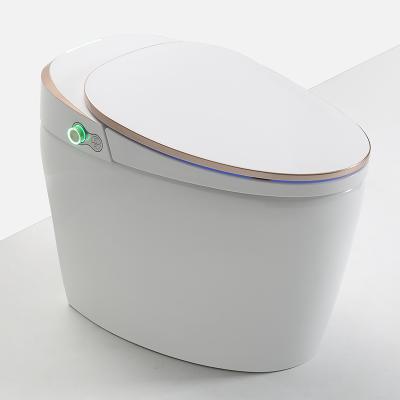 China Automatic Operation Automatic Toilet With Ceramic Electric Bidet Toilet Floor Cleaning Smart Toilet for sale