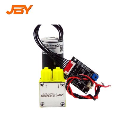 China Automotive industry long life positive pressure motor dc 12v brushless mini vacuum pump for air horns for sale