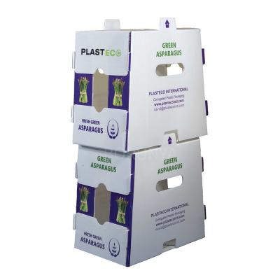 China High Quality Coroplast Recyclable Vegetable Packing Okra Box Factory Direct Sale for sale