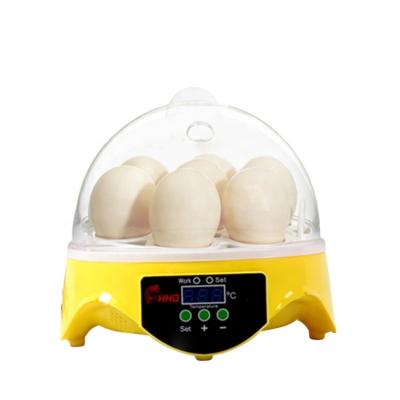 China Cultivate HHD Educational Automatic Incubator 7 Egg Incubator Machine For Kids Gift for sale